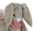 Królik Polly Plus - Grey Bunny