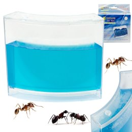 Akwarium edukacyjne żelowe dla mrówek